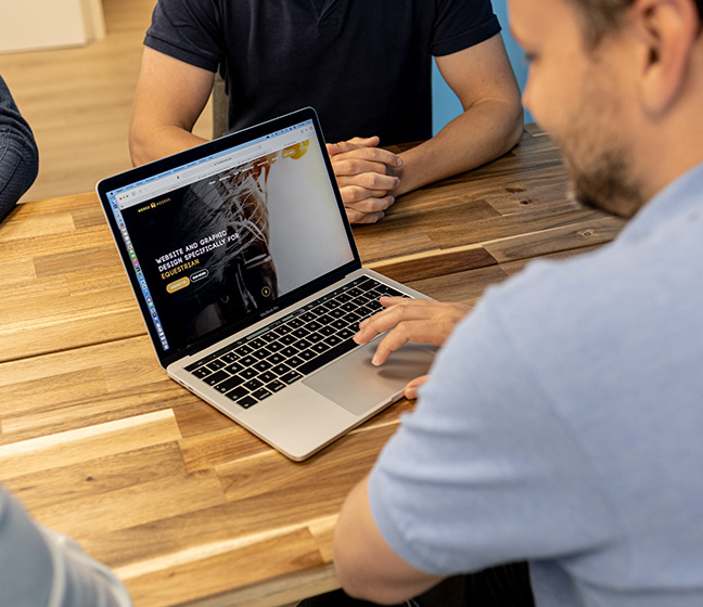Trienekens Online-webontwikkeling-intake-research