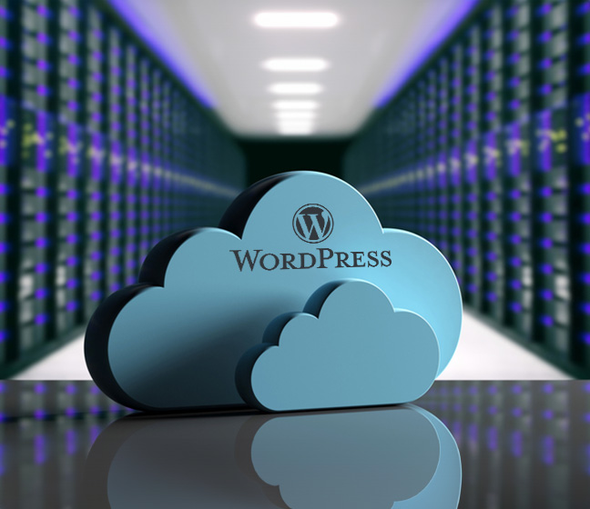 Trienekens Online-wordpress-hosting