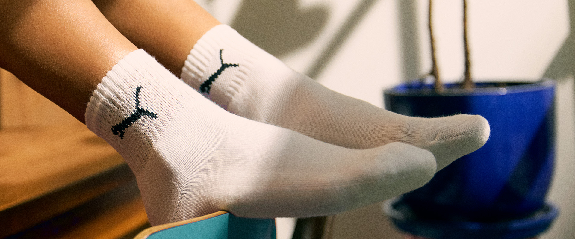 Trienekens Online-cases-sokken-online-sfeer