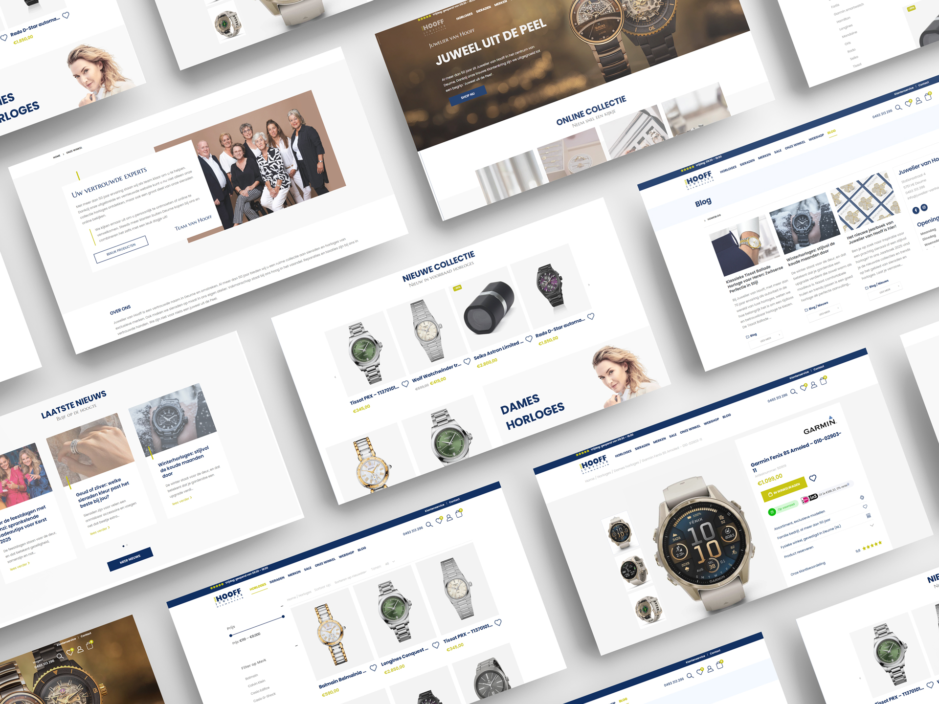 Trienekens-online-cases-juwelier-van-hooff-grid