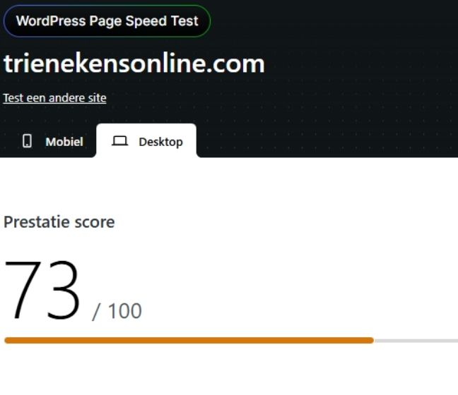 TRIEN - Blog afbeelding - WP Speedtest (5)