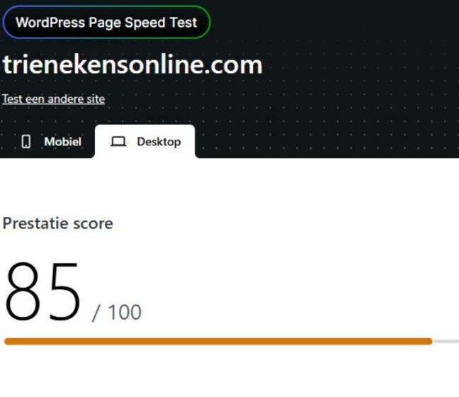 TRIEN - Blog afbeelding - WP Speedtest (6)